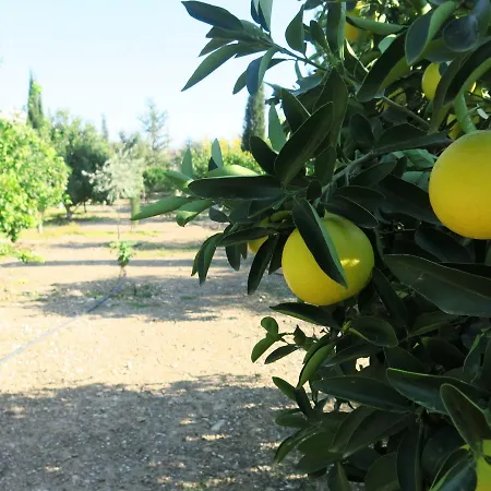 Traditional Village * Agia Anna