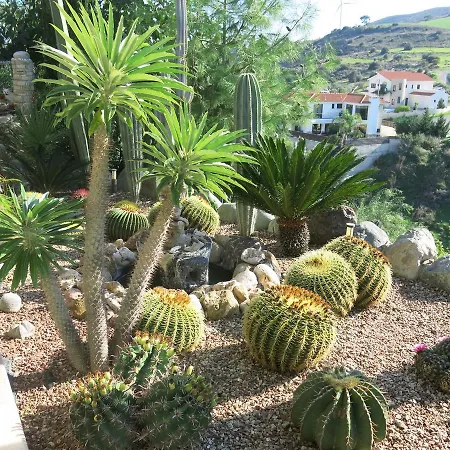 Villa Traditional Village *